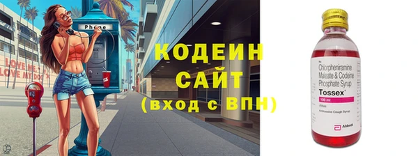 герыч Алексин